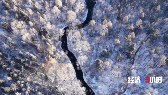 “冷资源”破圈生长 万亿赛道迸发消费新动能