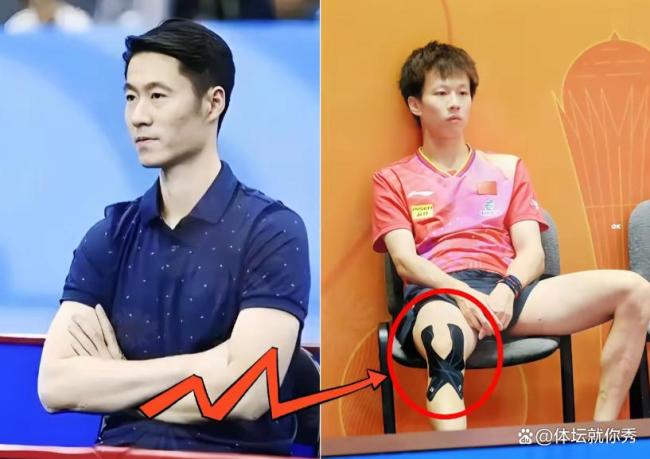 国乒公布亚洲杯名单：王楚钦与孙颖莎领衔炒股平台配资，樊振东依然缺席 新赛季首战备受期待