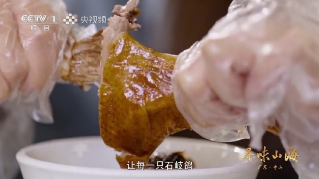 中山人真把鸽子吃明白了！