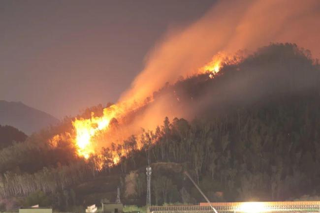 深圳坪山突发山火 消防紧急扑救中
