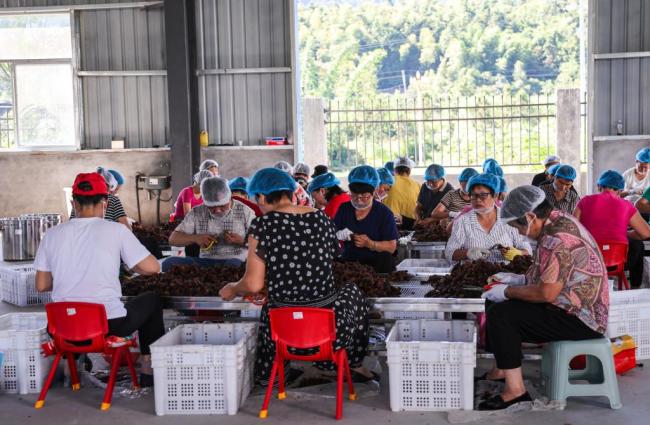 习近平总书记关切事·嘱托|生态守护者的绿色画卷