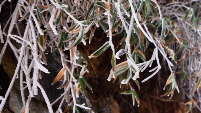 盘州老黑山冰雪晶莹宛如仙境 冬日独特风景