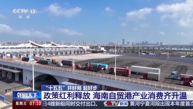 企业投资热、发展机遇多 海南自贸港产业消费升温