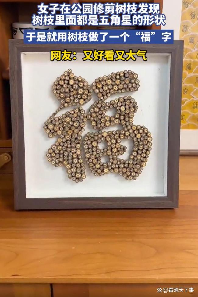女子发现树枝断面都是五角星的形状 创意福字引网友热议