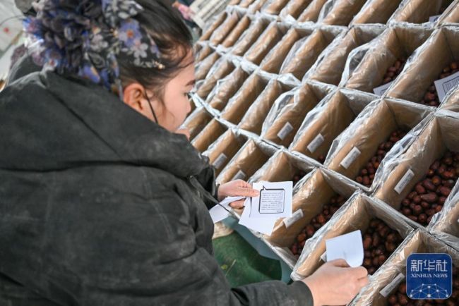 新春“疆”味浓 云端快车道助农增收