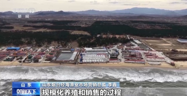 上百万尾鱼苗跨越山海 “蓝色粮仓”加速丰盈