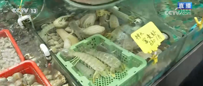 品质升级、暖意涌动点亮节前消费新图景