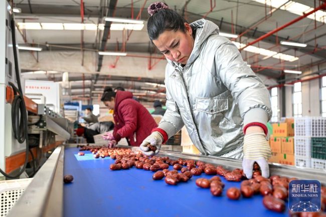 新春“疆”味浓 云端快车道助农增收