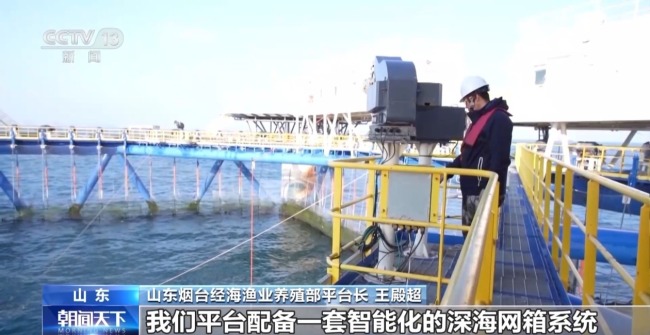 上百万尾鱼苗跨越山海 “蓝色粮仓”加速丰盈