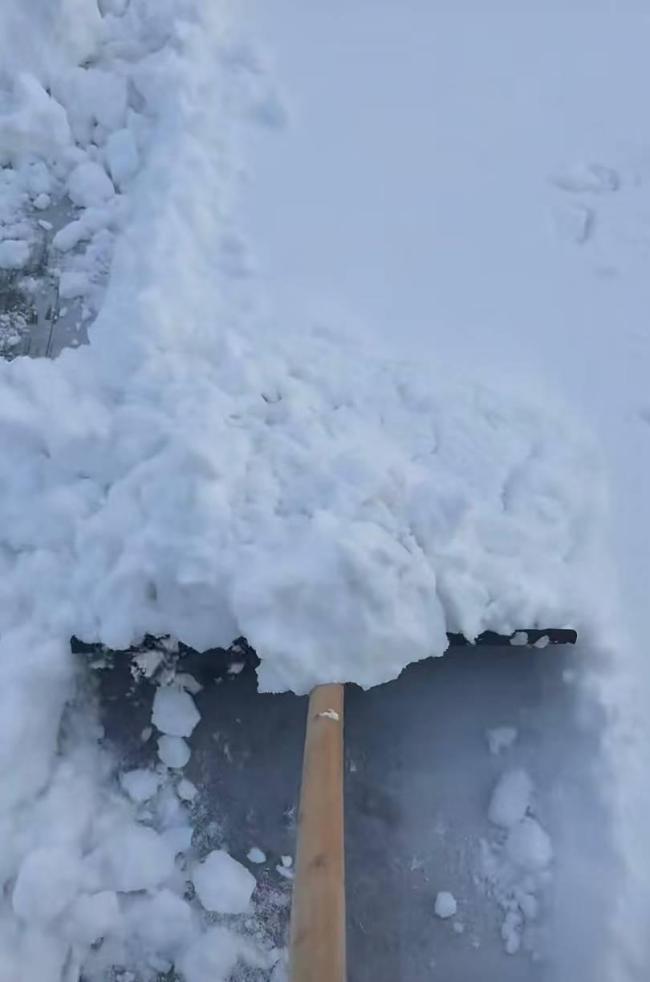 “中国雪窝”为何在胶东半岛 独特冷流雪揭秘