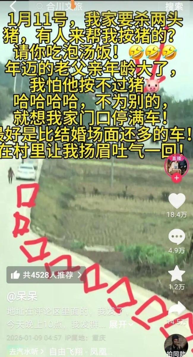 女子网上求助杀年猪上千网友来帮忙 网络力量展现温情