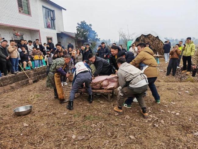 “按猪宴”走红：一场盛大的数字乡愁