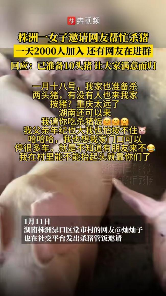 女子撒英雄帖网友赴约杀年猪 唤醒沉睡的年味