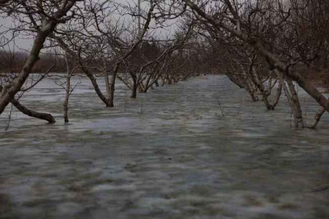 河北保定“一亩泉”断流60年后复涌 地下水位回升奇迹