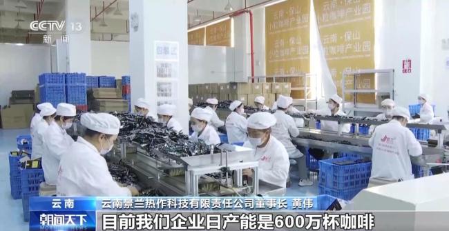 走出大山 云南咖啡何以從“紅果”走向“紅火”？