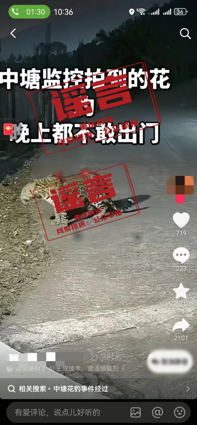 网传“重庆黔江区中塘镇有花豹出没”系谣言