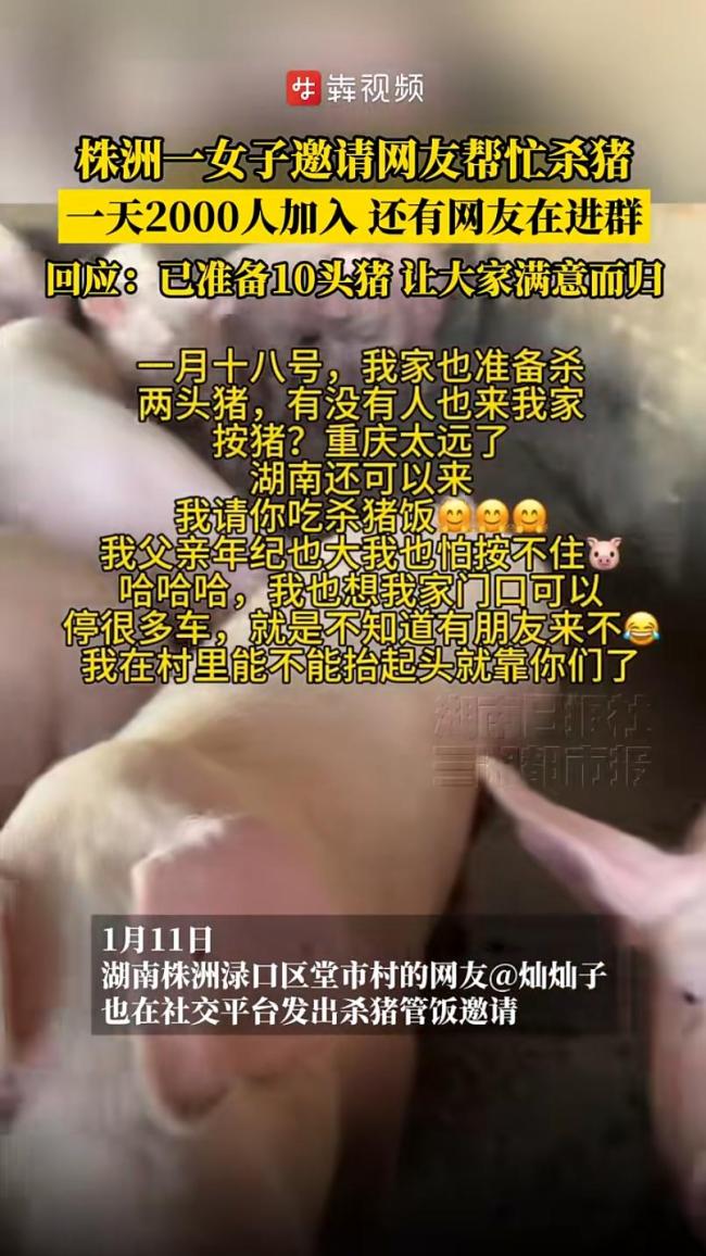湖南女子也邀网友帮杀猪 6个群爆满 网友热情响应