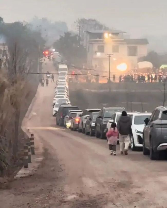 博主求助“按年猪”获网友响应 乡村嘉年华引爆全网热情