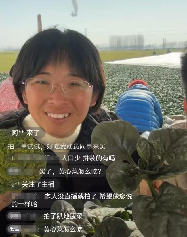 趴地菠菜黄心菜 河南本土蔬菜破圈 互联网助力鲜蔬走红