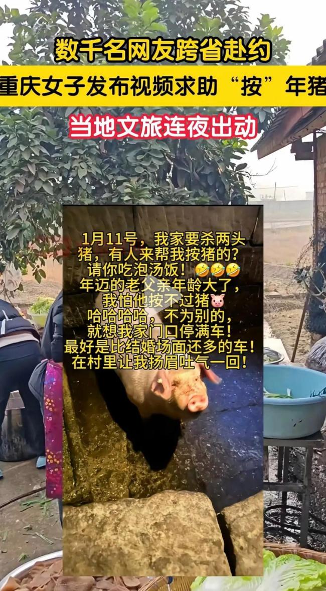 重庆的刨猪汤为何如此“上头” 年味与温情的双重盛宴