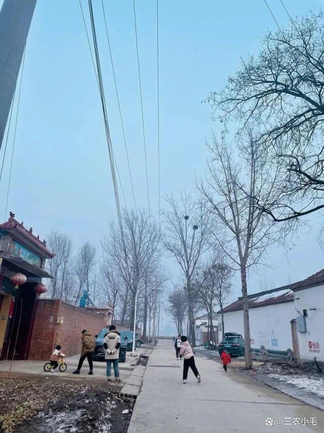 三九天回暖 可以确定暖冬吗 气候波动的正常表现