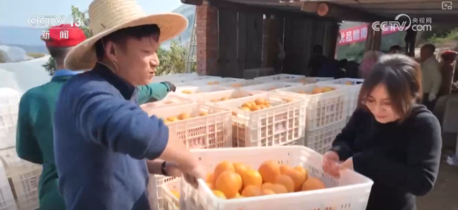 “数字+农业”助推特色农产品“出圈”