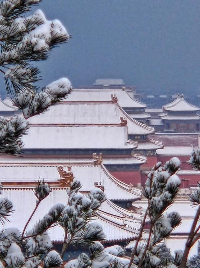 没东说念主能圮绝雪后的故宫 穿越六百年的纵欲