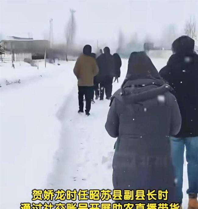 云南新品种月季征名 网友提名娇龙 以花回想骁雄