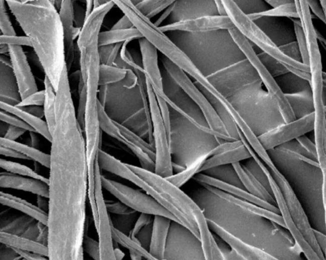 为什么袜子洗完总是会变硬 揭秘背后的原因