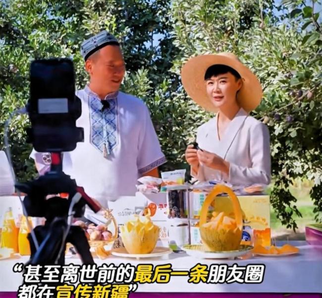 云南新品种月季征名 网友提名娇龙 以花回想骁雄