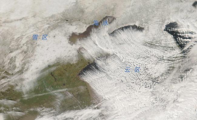 气象部门回应北京鹅毛大雪 回流降雪揭秘