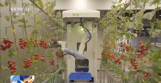 能动起来→能用起来 杭州具身智能产业跨越应用关