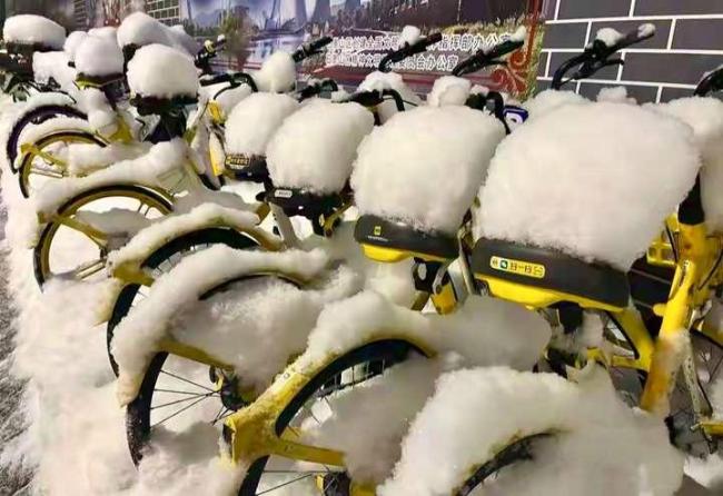 济南下“暴雨梨花针