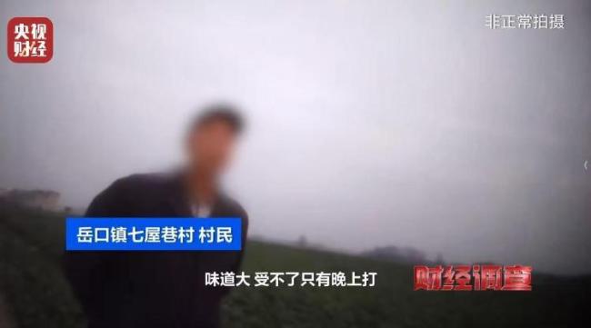 央视曝光“菜商违规使用含毒农药” 多渠道隐蔽销售