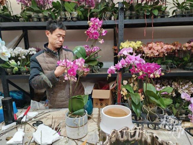 3盆125元 年宵花生意又开始忙了 春节前市场热闹非凡