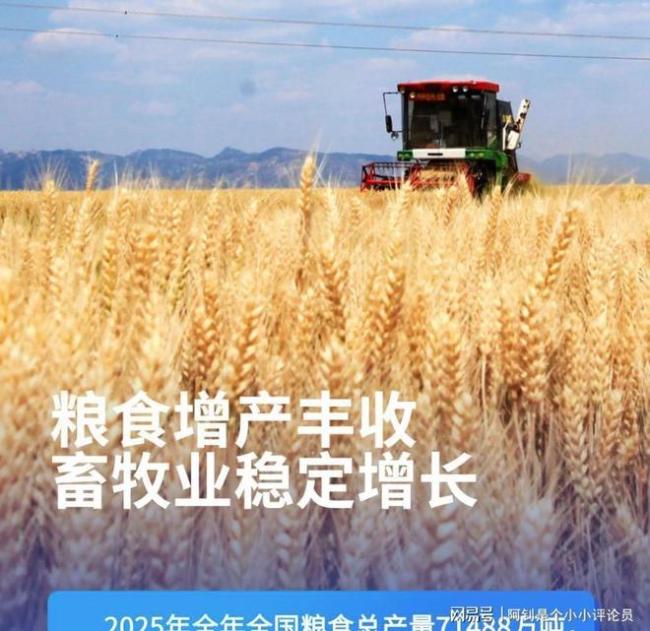 东说念主均食粮占有量达1000斤意味什么 中国饭碗端稳了