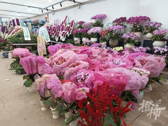 3盆125元 年宵花生意又开始忙了 春节前市场热闹非凡
