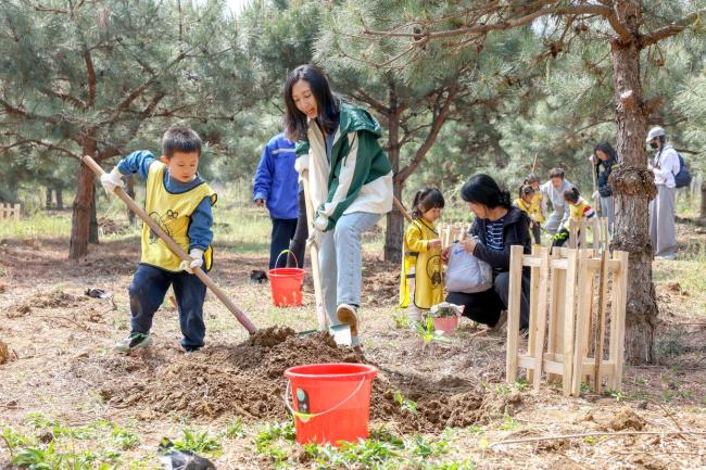 10年来最接近北京豹影被拍到了 华北豹再现太行山