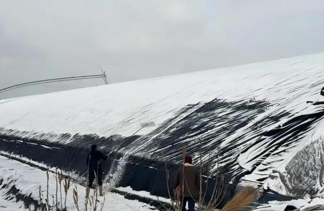 无人机除雪生意火爆 飞手:干不完