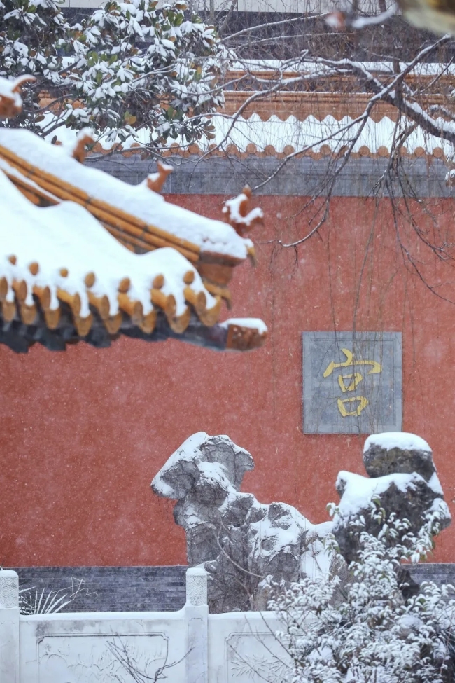 实拍江苏降雪：银装美景入画来 瑞雪装扮宿迁城