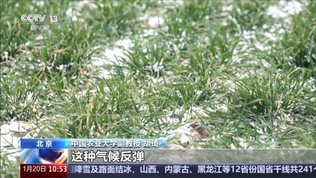 蕴含气候预警与养生之道 解锁民谚中的科学密码