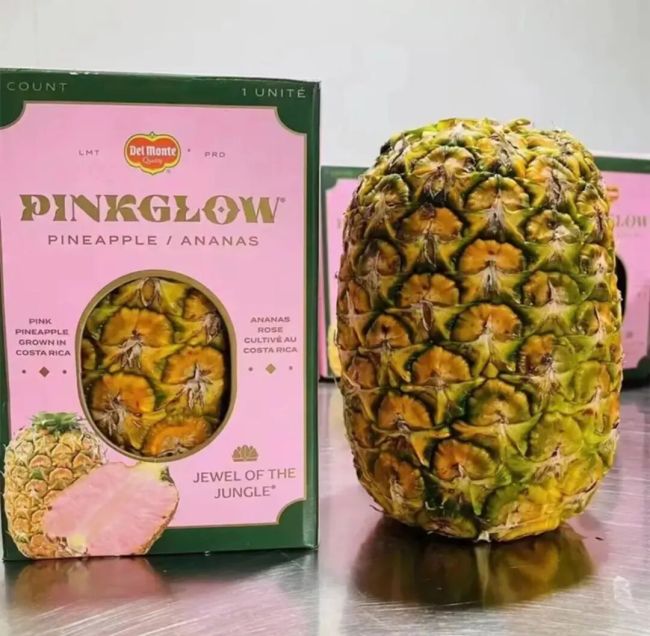 800元一颗的萝卖粉菠萝半月售出近100件 稀有品种引发热议