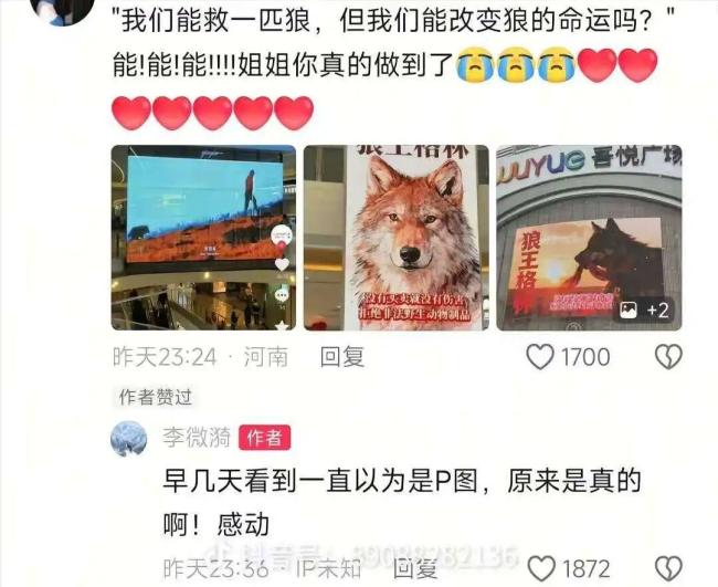 《<strong>重返狼群</strong>》李微漪透露现状 版税问题已解决