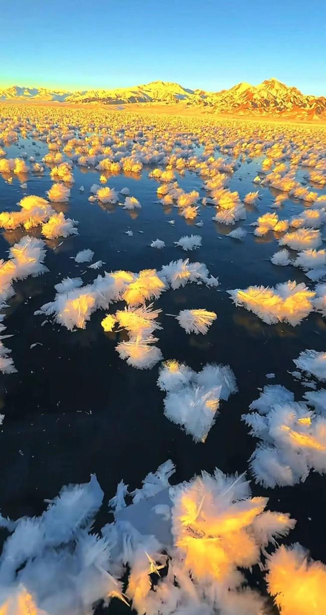 赛里木湖戒指版“冰花”开了 冬日奇不雅能干光泽