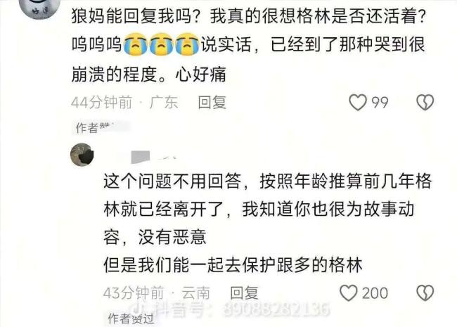 《<strong>重返狼群</strong>》李微漪透露现状 版税问题已解决