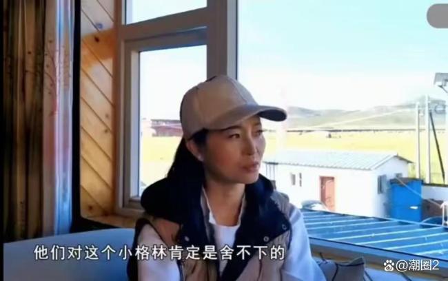 当狗狗看完重返狼群后 颠覆对狼的认知