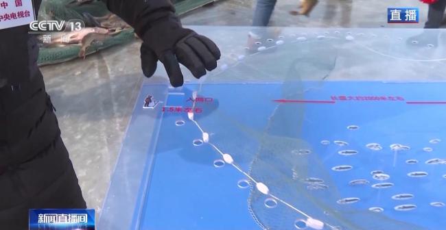 新疆乌伦古湖冬捕吵杂开场 头鱼出水迎丰充