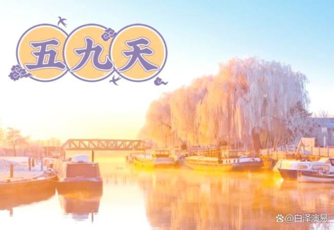 26号进五九,今年五九不一般