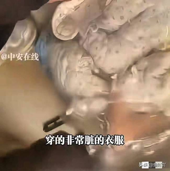 女记者恶意退货退款后续 身败名裂咎由自取