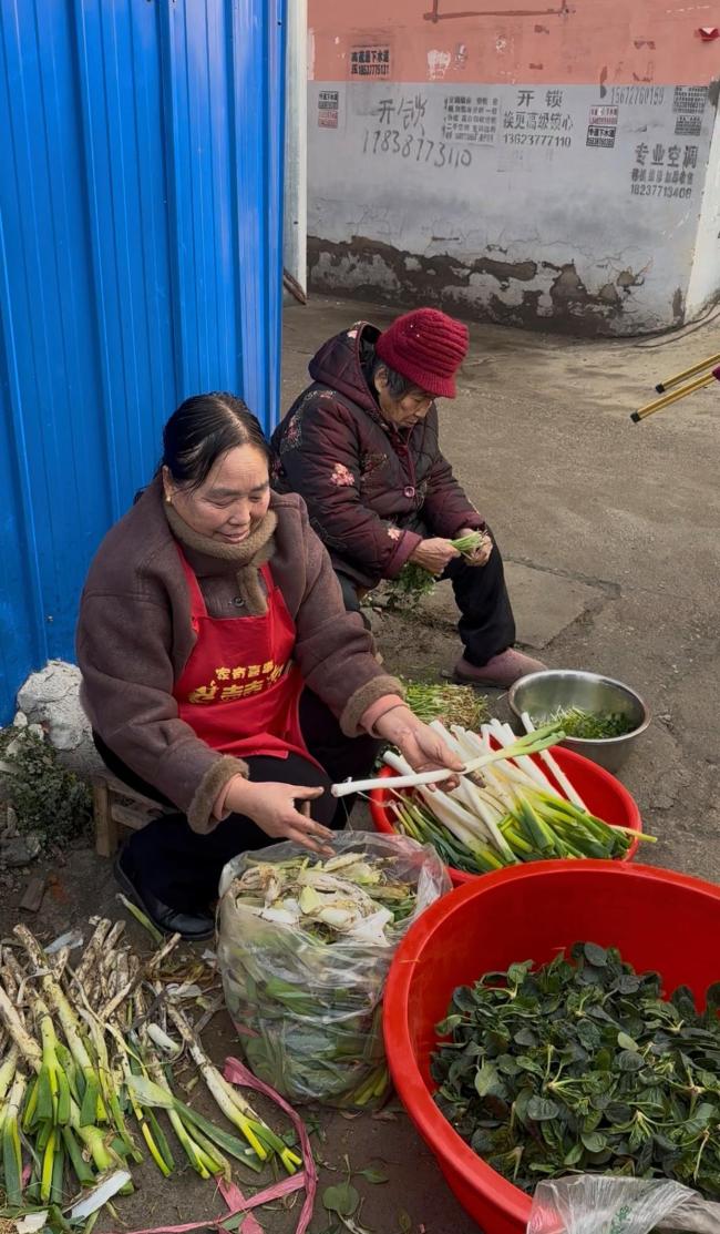 被河南人暖哭的货车司机再来河南 一碗面牵出的双向奔赴
